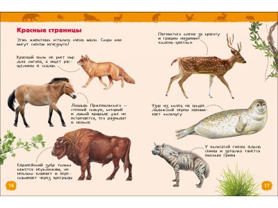 Книга Росмэн Энциклопедия для детского сада Красная книга России 1-00469472_5