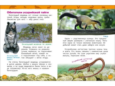 Книга Росмэн Энциклопедия для детского сада Красная книга России 1-00469472_8