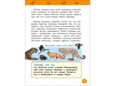 Книга Росмэн Энциклопедия для детского сада Красная книга России 1-00469472_6
