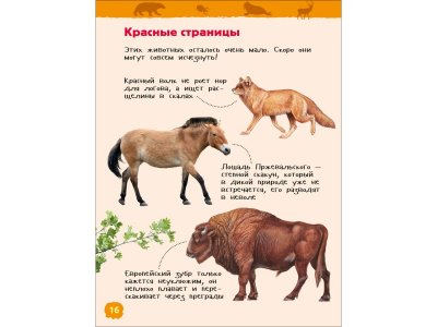 Книга Росмэн Энциклопедия для детского сада Красная книга России 1-00469472_9