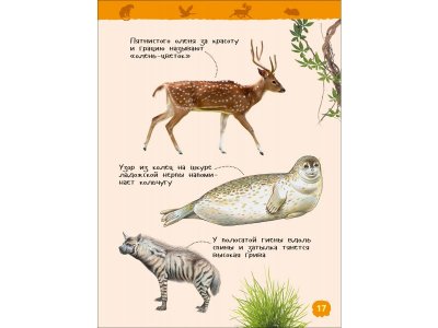 Книга Росмэн Энциклопедия для детского сада Красная книга России 1-00469472_10