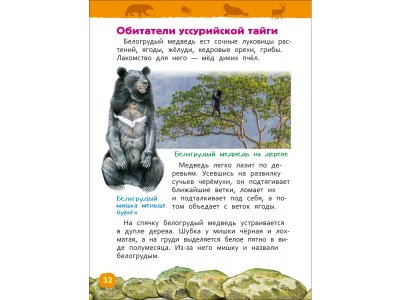 Книга Росмэн Энциклопедия для детского сада Красная книга России 1-00469472_11