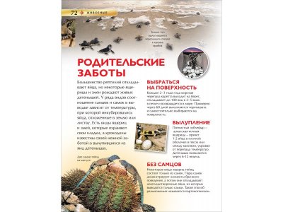 Книга Росмэн Детская энциклопедия Большой подарок 1-00469475_3