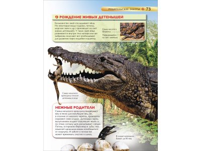 Книга Росмэн Детская энциклопедия Большой подарок 1-00469475_4