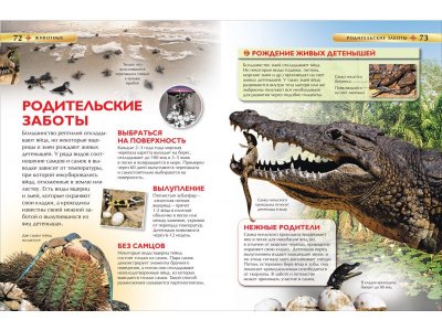 Книга Росмэн Детская энциклопедия Большой подарок 1-00469475_8