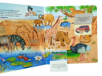 Книга Росмэн Энциклопедия с окошками Удивительные животные 1-00469483_2