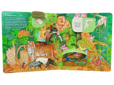 Книга Росмэн Энциклопедия с окошками Удивительные животные 1-00469483_3