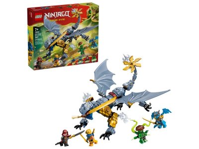 Конструктор Lego Ninjago Битва дракона-ниндзя Райю, 347дет., 71855 разноцветный 100485864
