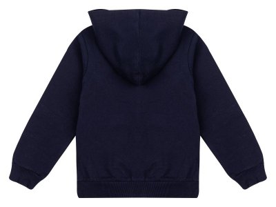 Комплект: джемпер (худи) и брюки унисекс 1-00470838_5
