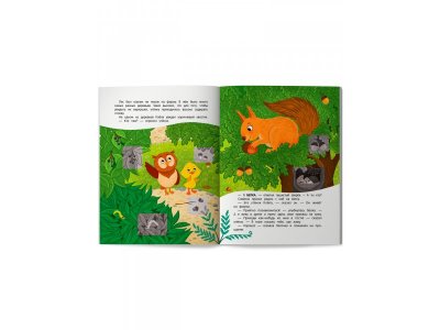 Книга Феникс Утёнок в лесу!, с наклейками 1-00487269_2