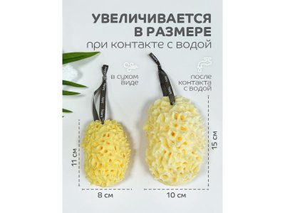 Губка для купания Lubby, от 0 мес. 1-00480080_7