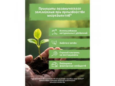 Звездочки Gerber Nutripuffs Organic рисово-пшеничные, банан и малина, 35г 1-00488522_9