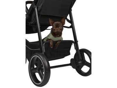 Коляска Winson Baby 1-00480137_18