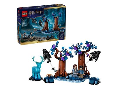 Конструктор LEGO Harry Potter Экспекто Патронум: Запретный лес, 244 дет., 76475 1-00490115_1